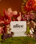 Brainstorm — mushroom chocolate supplement for focus