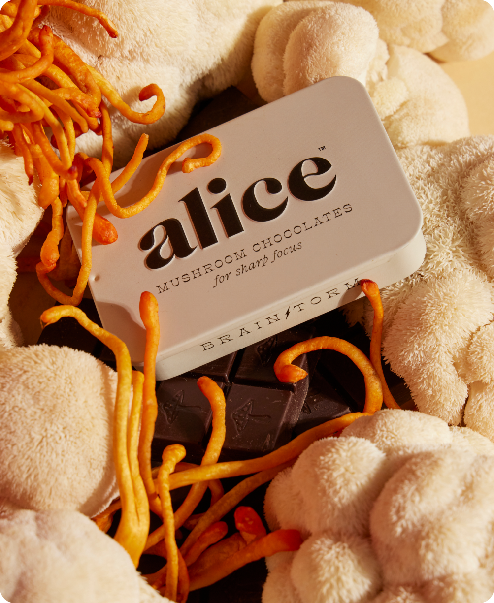 Brainstorm — mushroom chocolate supplement for focus