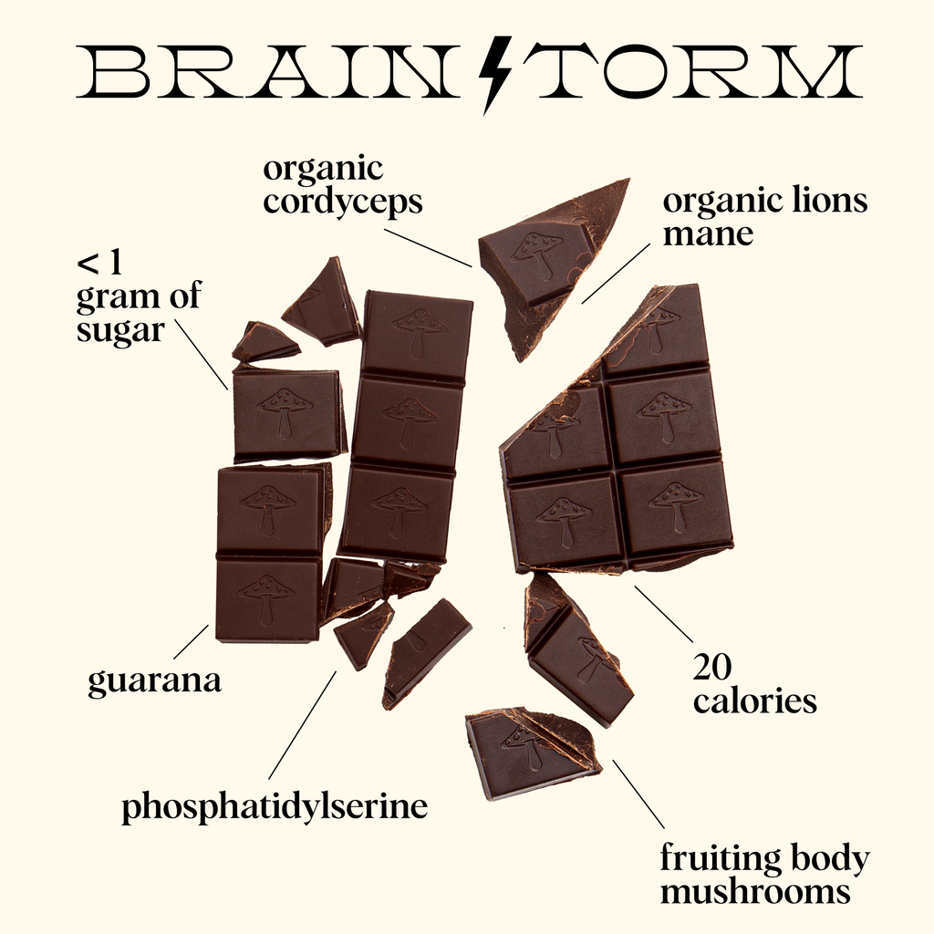 Brainstorm — mushroom chocolate supplement for focus
